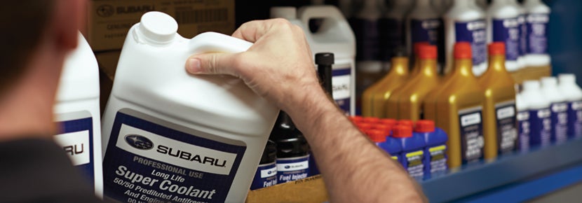 Picture of Subaru Super Coolant. | Hudson Subaru in Jersey City NJ